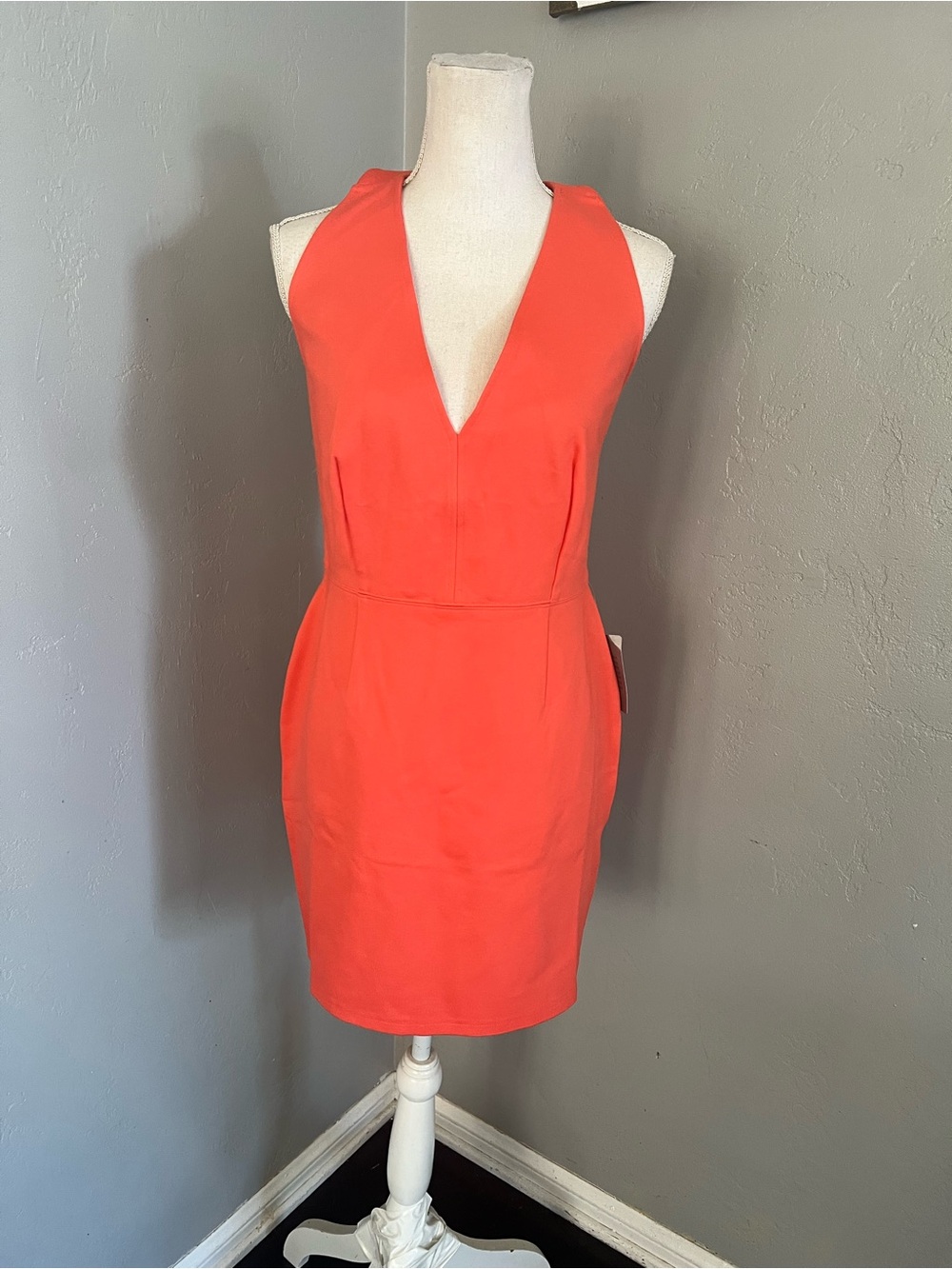 LOVE X DESIGN Sleeveless V-Neck Coral Sheath Dress